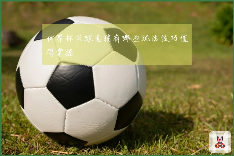 世界杯买球竞猜有哪些玩法技巧值得掌握
