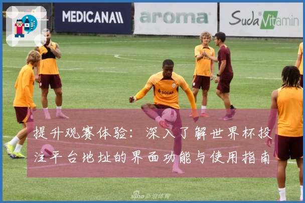 提升观赛体验：深入了解世界杯投注平台地址的界面功能与使用指南