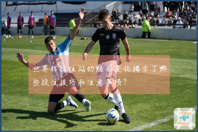 世界杯投注站的赔率变化揭示了哪些投注技巧和注意事项？
