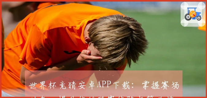 世界杯竞猜安卓APP下载：掌握赛场动态，提升你的观赛体验与策略技巧