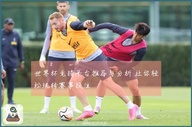 世界杯竞猜平台推荐与分析 让你轻松玩转赛事投注