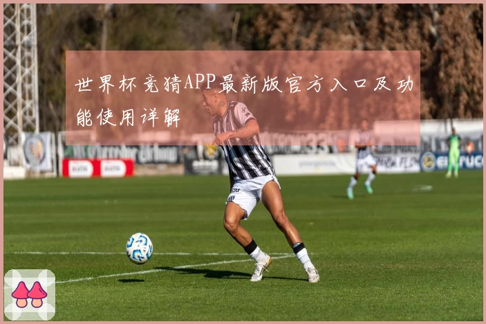 世界杯竞猜APP最新版官方入口及功能使用详解