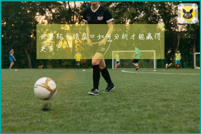 世界杯竞猜盘口如何分析才能赢得更多？