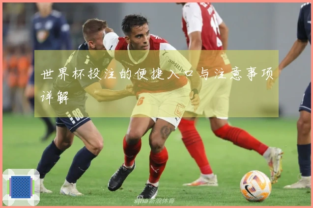 世界杯投注的便捷入口与注意事项详解