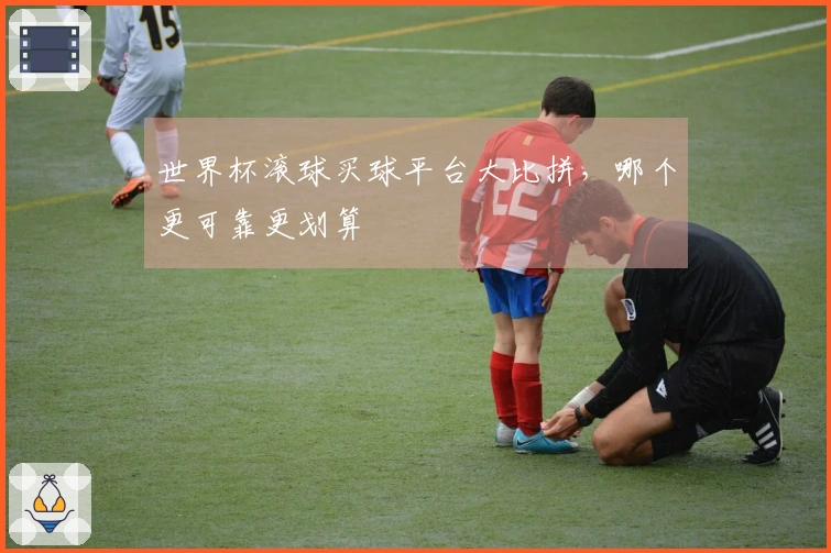 世界杯滚球买球平台大比拼，哪个更可靠更划算