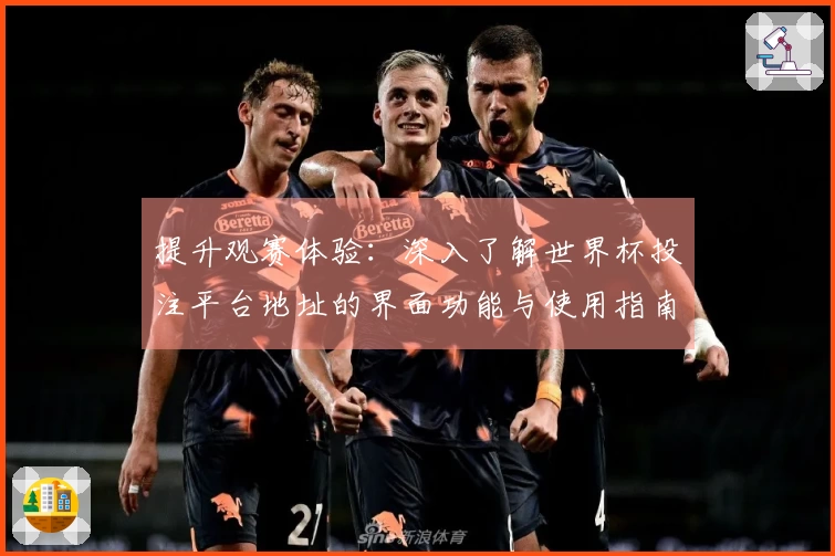 提升观赛体验：深入了解世界杯投注平台地址的界面功能与使用指南